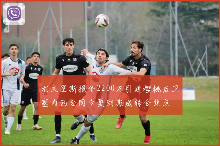 尤文图斯报价2200万引进樱桃后卫塞内西合同今夏到期成转会焦点