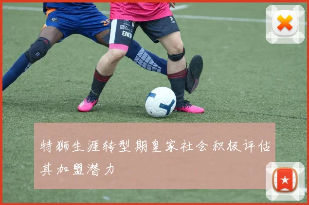 特狮生涯转型期皇家社会积极评估其加盟潜力